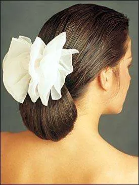 Clip In Hair Extensions on Barrettes