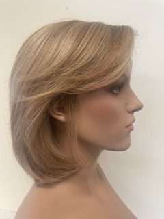 100% Human Hair Wig Collections